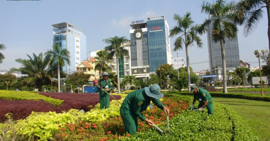 Công ty cây xanh Trà Vinh – Đơn vị góp phần làm nên mảng xanh đô thị