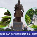 don-vi-cung-cap-cay-xanh-nam-dinh-chat-luong