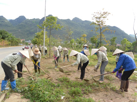 Cây Xanh Minh Hiếu