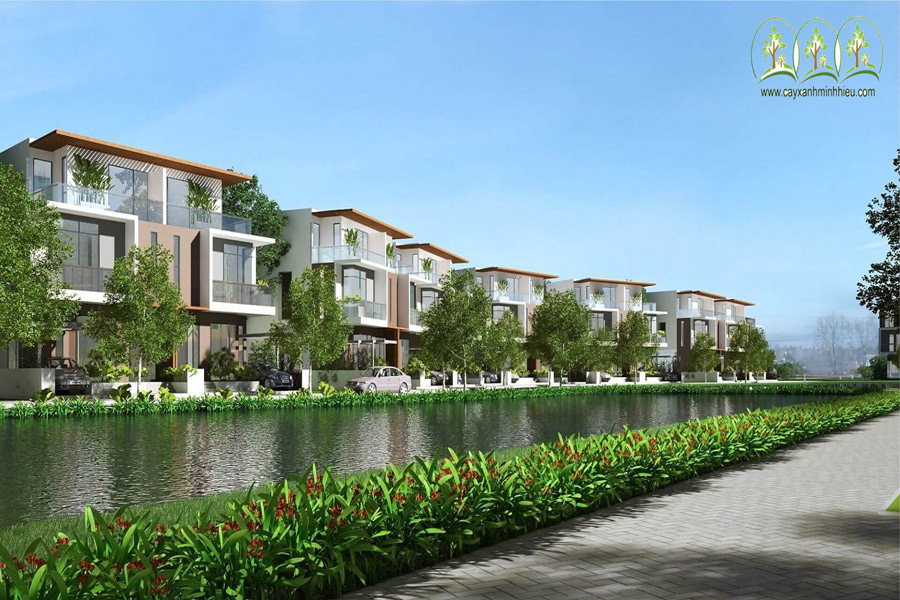 Cây Xanh Minh Hiếu