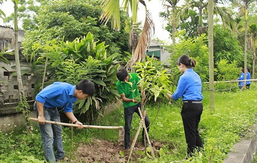 Cây Xanh Minh Hiếu