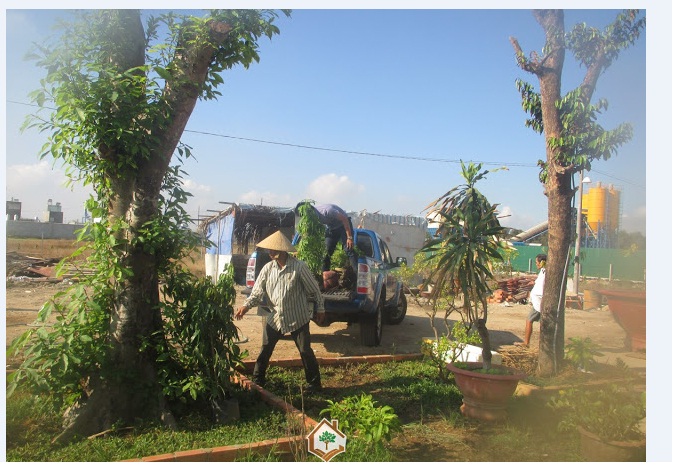 Cây Xanh Minh Hiếu