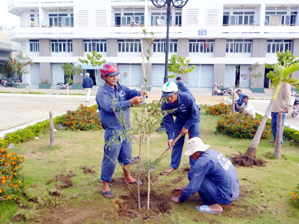 Cây Xanh Minh Hiếu