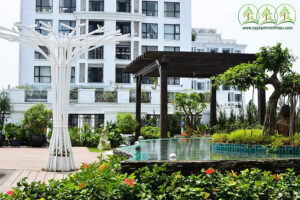 thiet-ke-canh-quan-san-vuon-cho-chung-cu-tai-tay-ninh