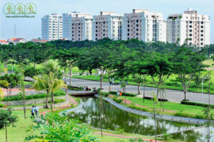 trong-cay-xanh-giup-tang-tinh-tham-my