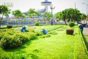 dich-vu-cay-xanh-dong-nai-uy-tin