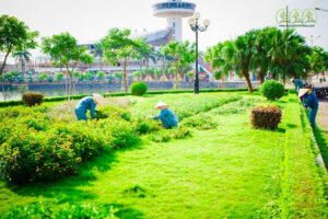 don-vi-cung-cap-cay-xanh-bac-lieu