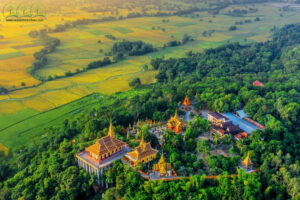 cung-cap-cay-xanh-an-giang