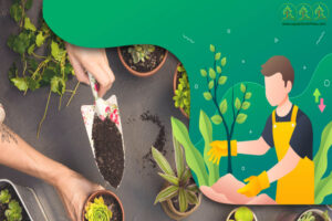 cung-cap-cay-xanh-long-an