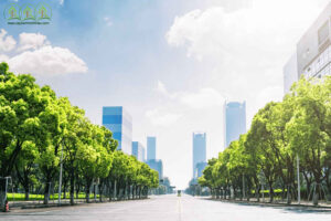 cung-cap-cay-xanh-tp-ho-chi-minh