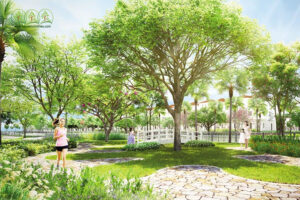 cung-cap-cay-xanh-uy-tin-tai-soc-trang