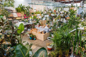 don-vi-cung-cap-cay-xanh-nghe-an