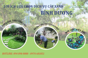 loi-ich-lua-chon-dich-vu-cay-xanh-binh-duong