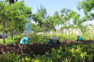 trong-cay-xanh-ha-tinh