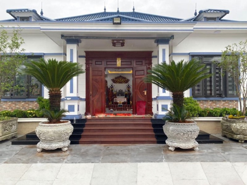 cây vạn tuế