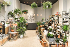 cung-cap-cay-xanh-gia-re-tai-quang-tri