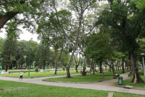 cung-cap-cay-xanh-quang-binh-gia-re