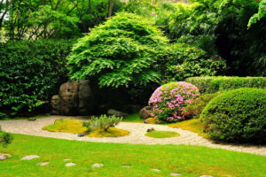 cung-cap-cay-xanh-tai-ha-tinh