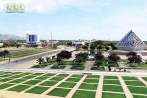 don-vi-cung-cap-cay-xanh-ninh-thuan