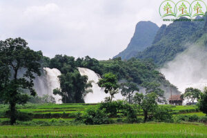 doi-net-ve-tinh-cao-bang-ban-nen-biet