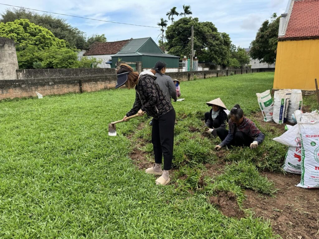 Cây Xanh Minh Hiếu