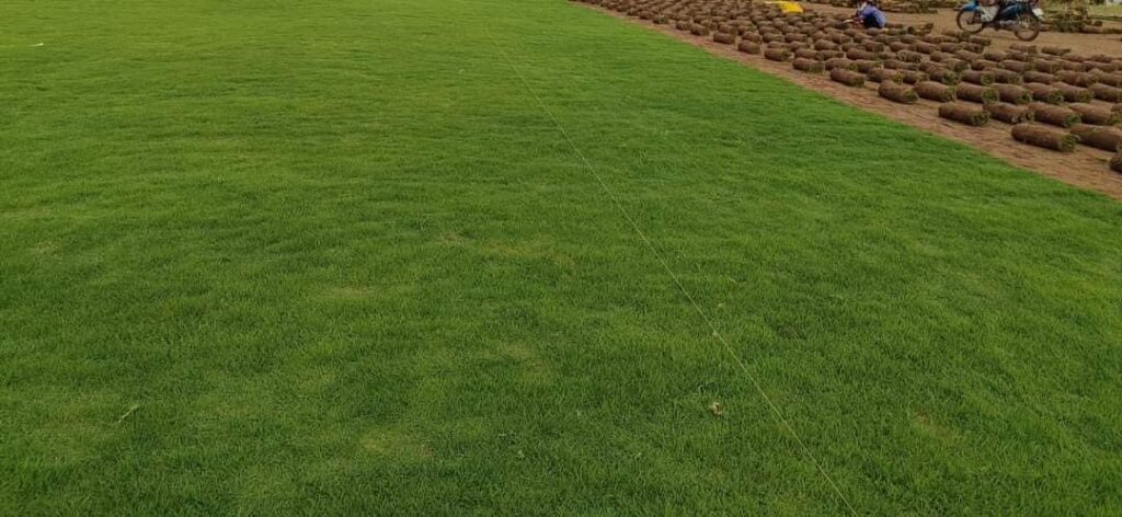 Cây Xanh Minh Hiếu