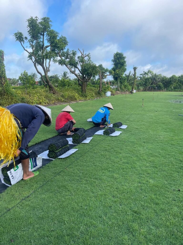 Cây Xanh Minh Hiếu