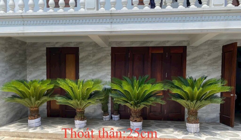 Cây Xanh Minh Hiếu