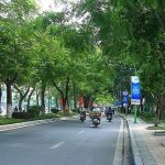 thiết kế cây xanh hà nội