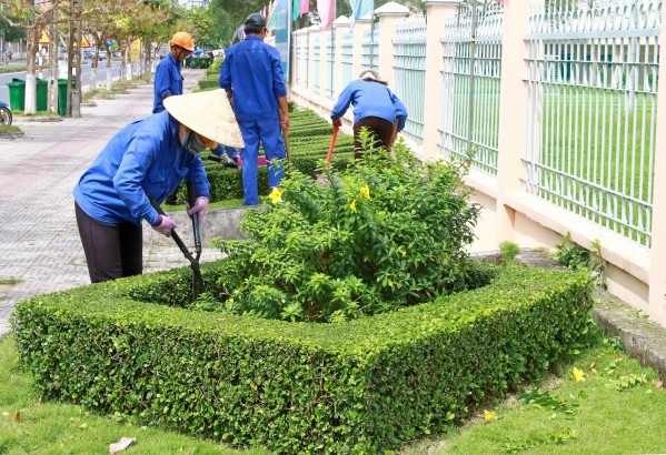 Các dự án khu đô thị sinh thái, khu nghỉ dưỡng và khu công nghiệp đều ưu tiên trồng nhiều cây xanh để đảm bảo sự phát triển bền vững