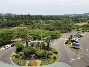 ựa chọn một đơn vị chuyên nghiệp như Cây Xanh Minh Hiếu là điều cần thiết để đảm bảo hiệu quả lâu dài.