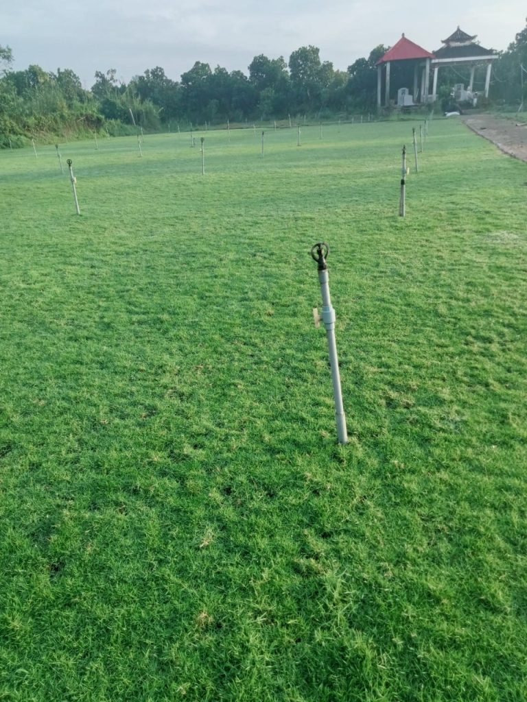 Cây Xanh Minh Hiếu