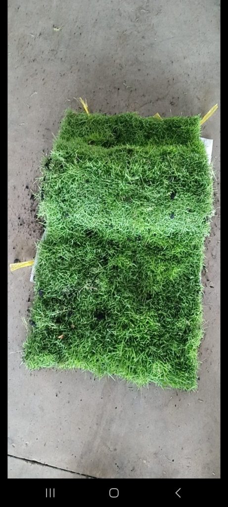 Cây Xanh Minh Hiếu