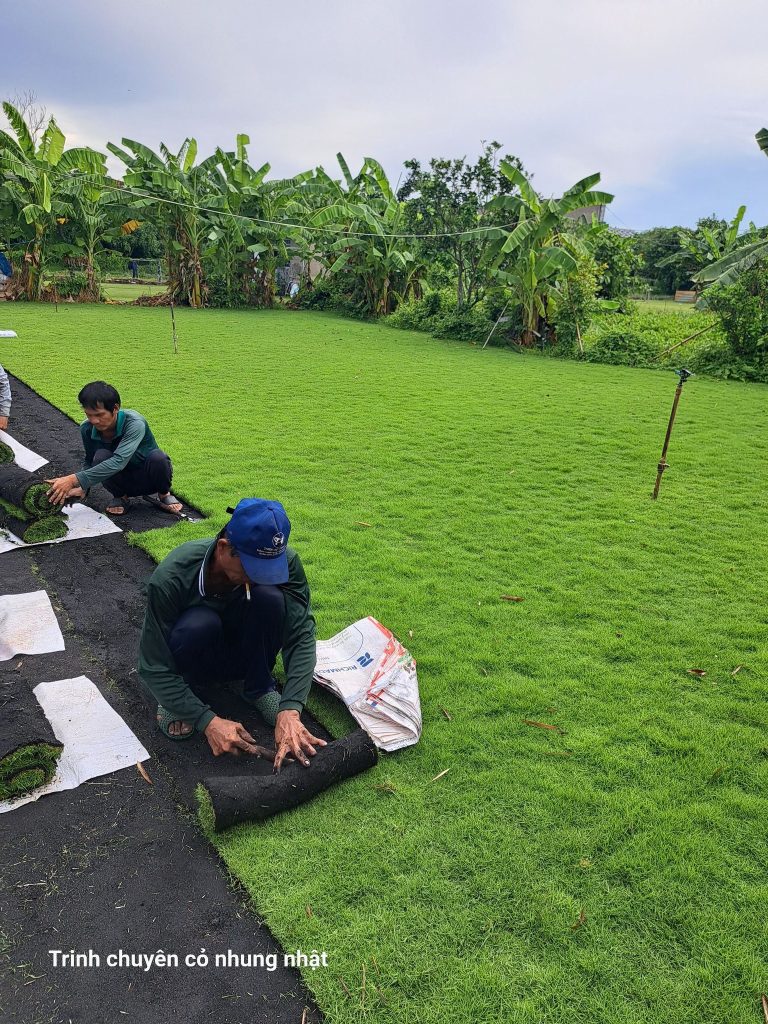 Cây Xanh Minh Hiếu