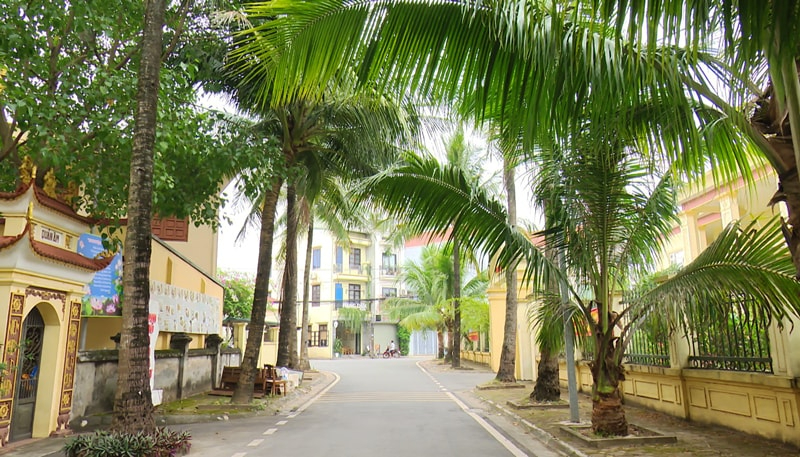 Cây dừa