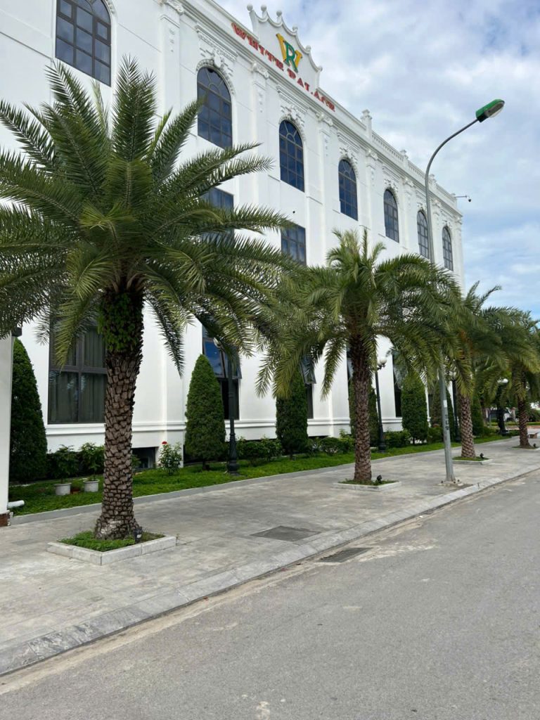 Cây Xanh Minh Hiếu